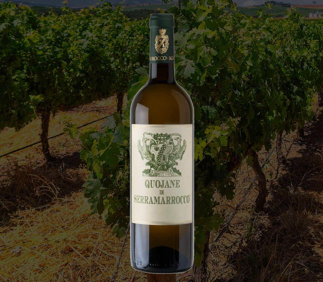 Vendita Vini BARONE DI SERRAMAROCCO Sicilia Vendita Vini BARONE DI SERRAMAROCCO Sicilia