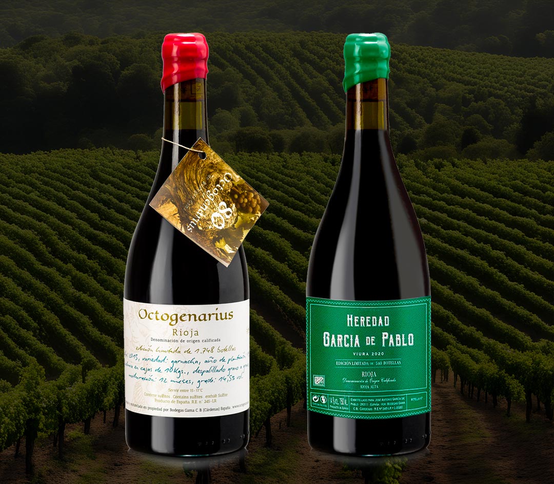 Vino-di-Bodegas-Gama Vino-di-Bodegas-Gama