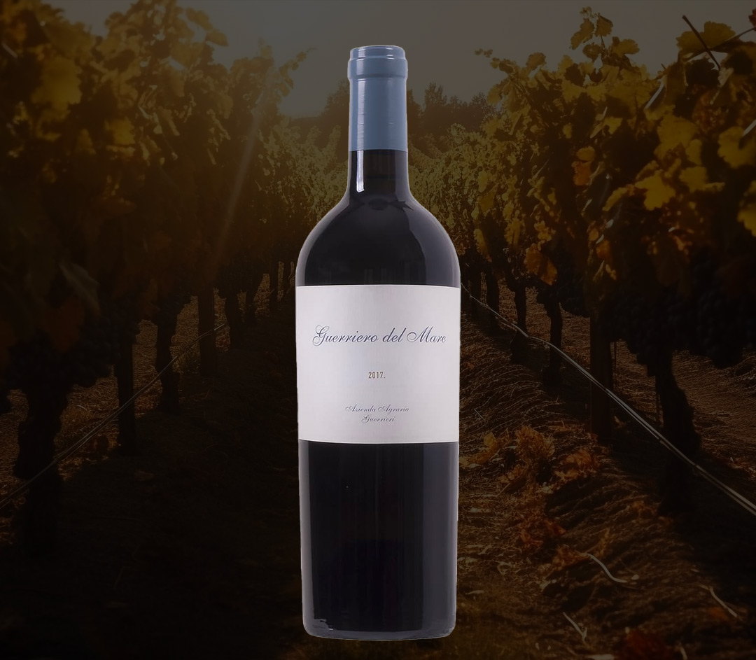 vini-Toscana-Guerrieri vini-Toscana-Guerrieri